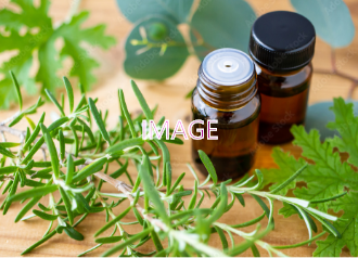 薬剤送達技術イメージ